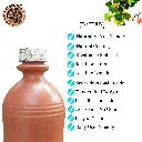 3A.webp